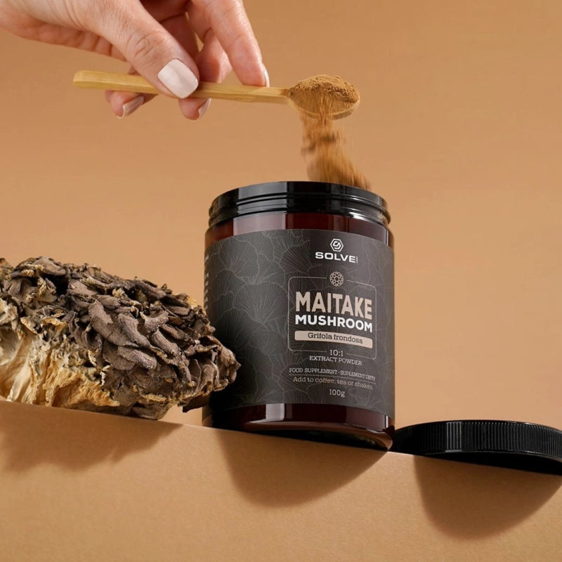 Maitake (Żagwica listkowata) 10:1 Mushroom Powder