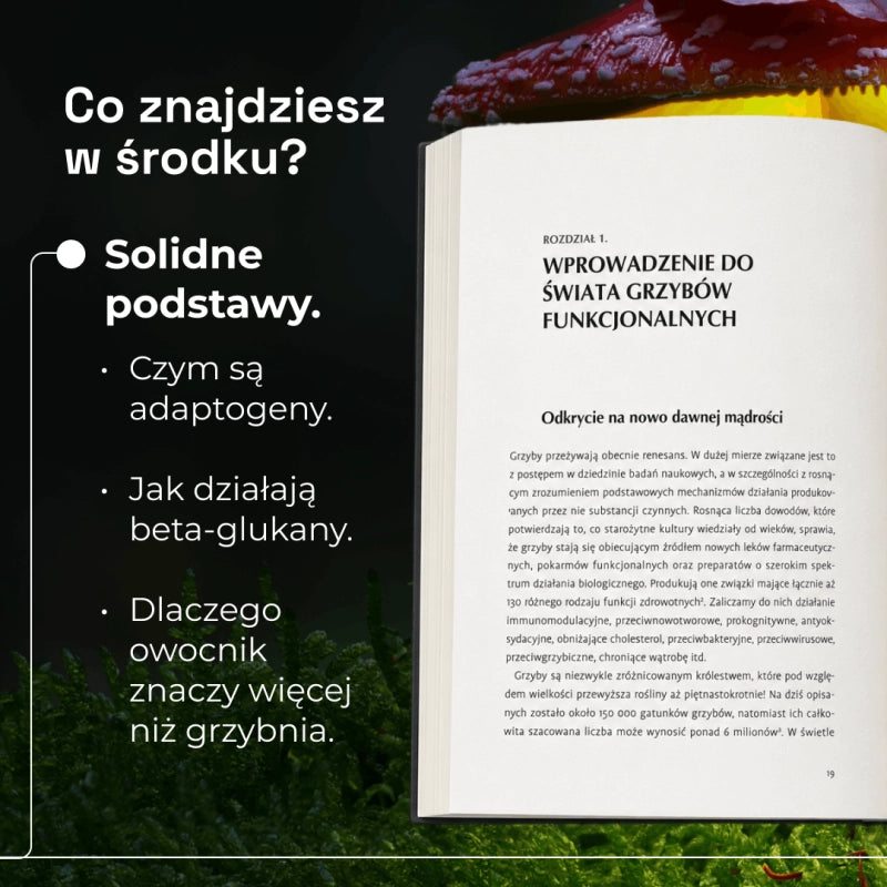 Grzyby funkcjonalne: W głąb mechanizmów i zastosowań modifikatorów ludzkiej biologii (Książka)