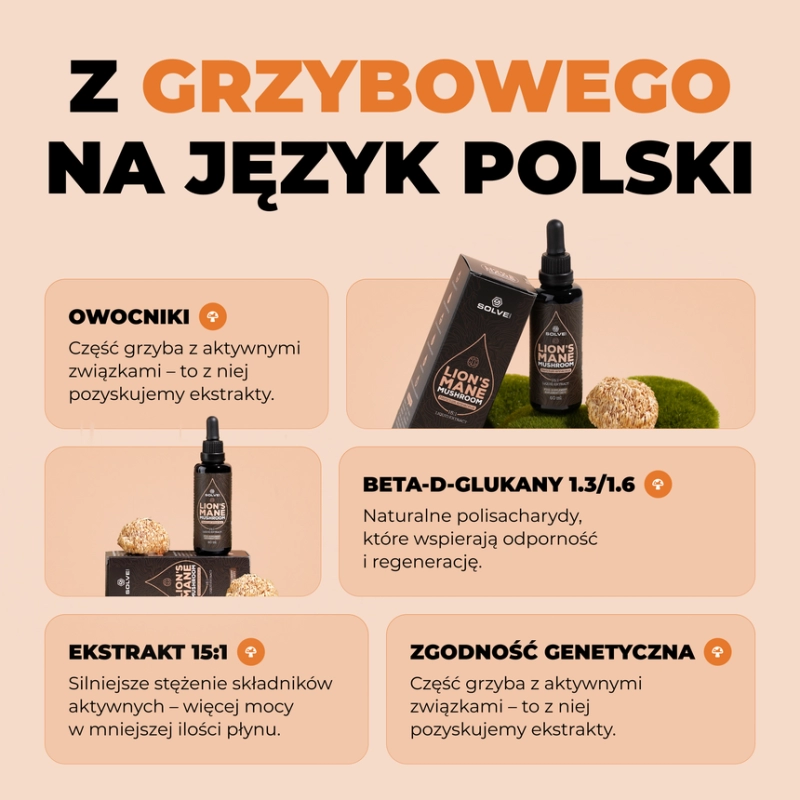 Soplówka jeżowata (Lion's mane) w kroplach 60ML